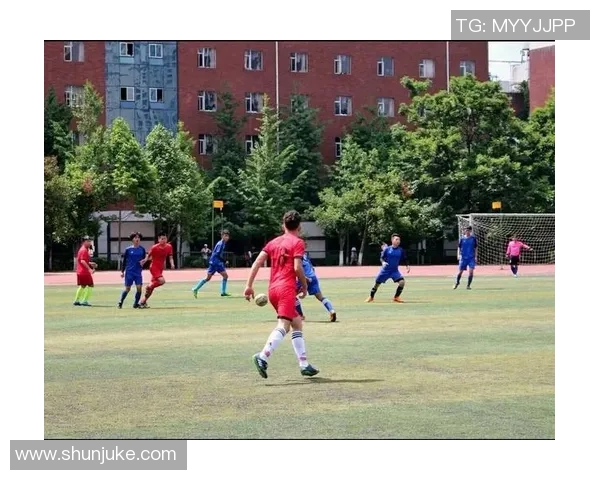 南京羽毛球队边路渗透战术解析与深度剖析