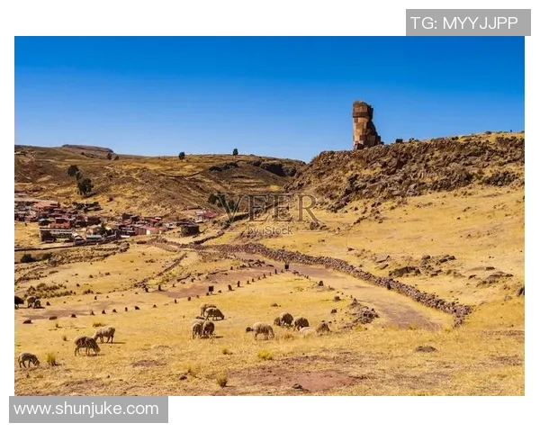 秘鲁传奇足球明星全景回顾与历史成就分析 秘鲁传奇足球明星全景回顾与历史成就分析