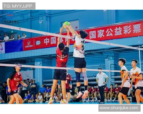 广州排球队荣登排球比赛经验排行榜第一名的背后故事与启示