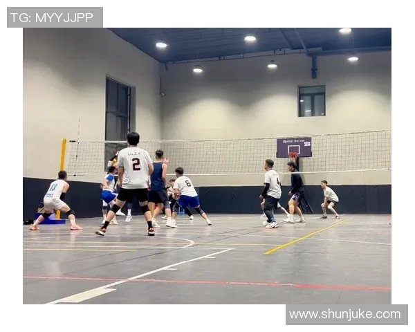 成都排球队的拼搏故事与荣耀历程全景纪实