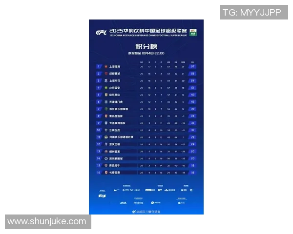 武汉排球队在钻石联赛积分榜中以95分稳居第一名展现强劲实力