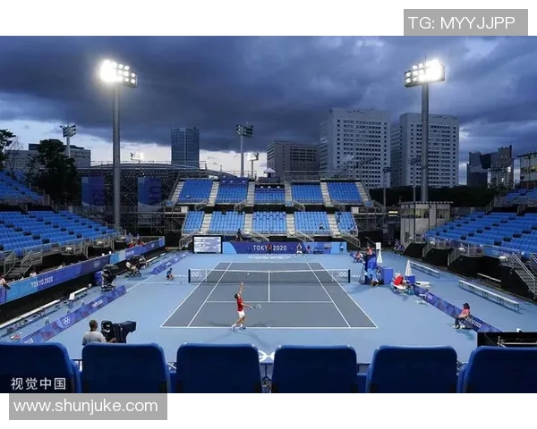 北京网球队在奥运会上的技术表现分析与点评
