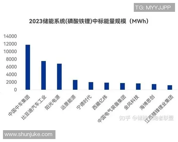 深入探讨上海排球队实力表现与数据分析的全景视角