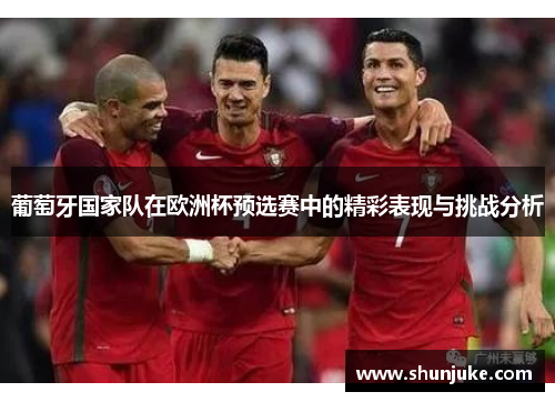 葡萄牙国家队在欧洲杯预选赛中的精彩表现与挑战分析