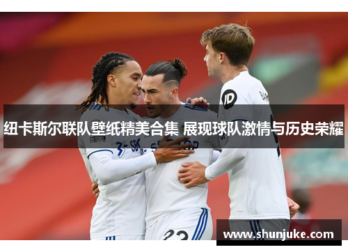 纽卡斯尔联队壁纸精美合集 展现球队激情与历史荣耀