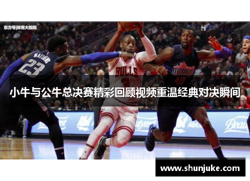 小牛与公牛总决赛精彩回顾视频重温经典对决瞬间