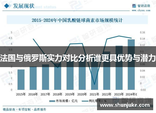 法国与俄罗斯实力对比分析谁更具优势与潜力