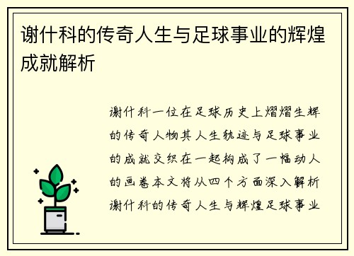 谢什科的传奇人生与足球事业的辉煌成就解析